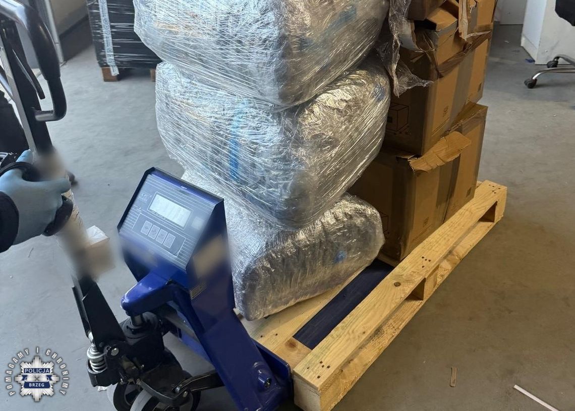 Magazynier zamiast części znalazł 64 kg marihuany. Przemytnicy wysłali narkotyki pod zły adres