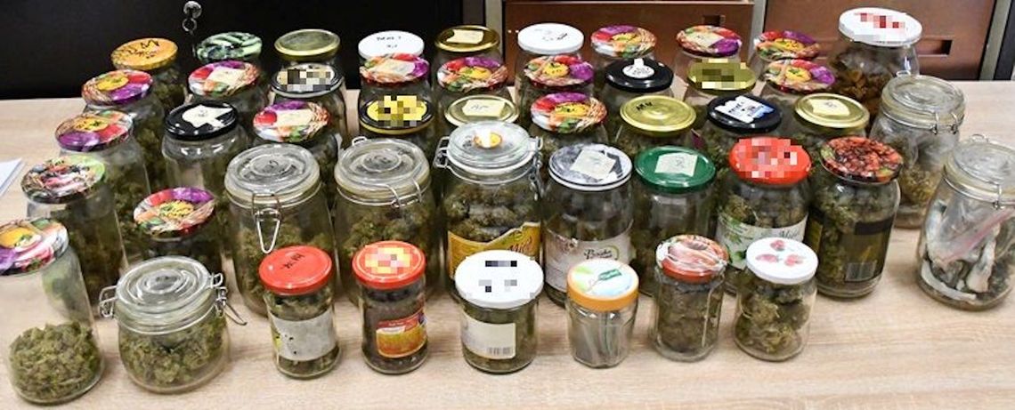 Marihuana, „grzybki” i profesjonalny sprzęt. Akcja policji zakończona aresztowaniem 36-latka