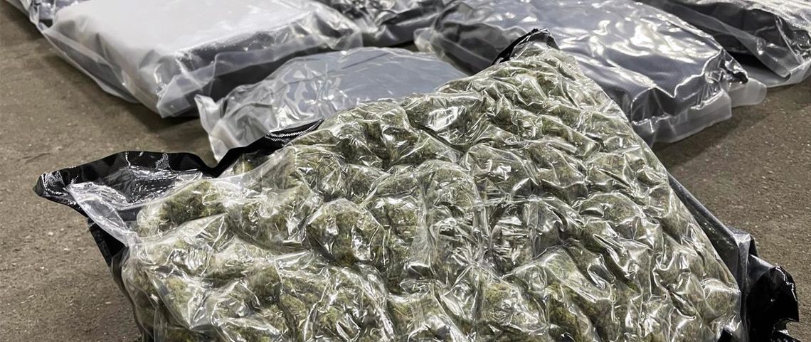 Marihuana warta ponad 4 miliony złotych w paczce z USA. Policjanci zatrzymali troje przemytników