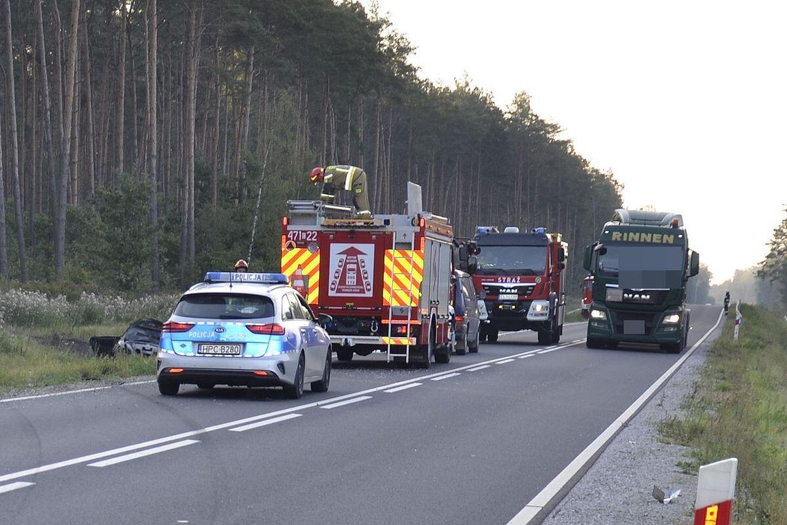 Mercedes potrącił łosia, wypadł z drogi i stanął w ogniu. Kierowcą uratował świadek wypadku