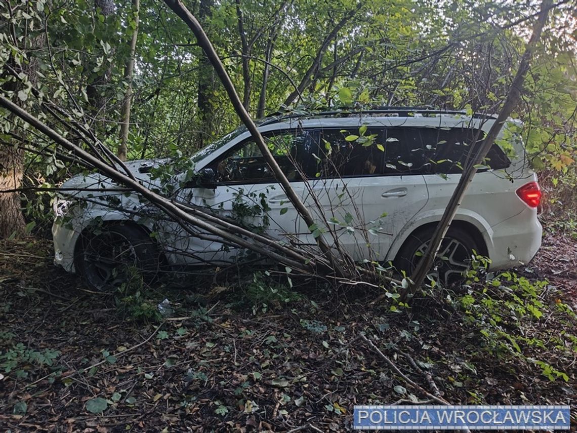 Mercedes wart 200 tysięcy porzucony w zaroślach. Złodziej nie poradził sobie z prowadzeniem Mercedes wart 200 tysięcy porzucony w zaroślach. Złodziej nie poradził sobie z prowadzeniem