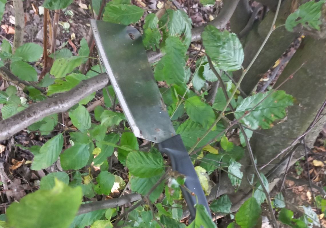 Mężczyzna brutalnie zaatakowany przez bliźniaczki z tasakiem. Chciały się na nim zemścić Mężczyzna brutalnie zaatakowany przez bliźniaczki z tasakiem. Chciały się na nim zemścić