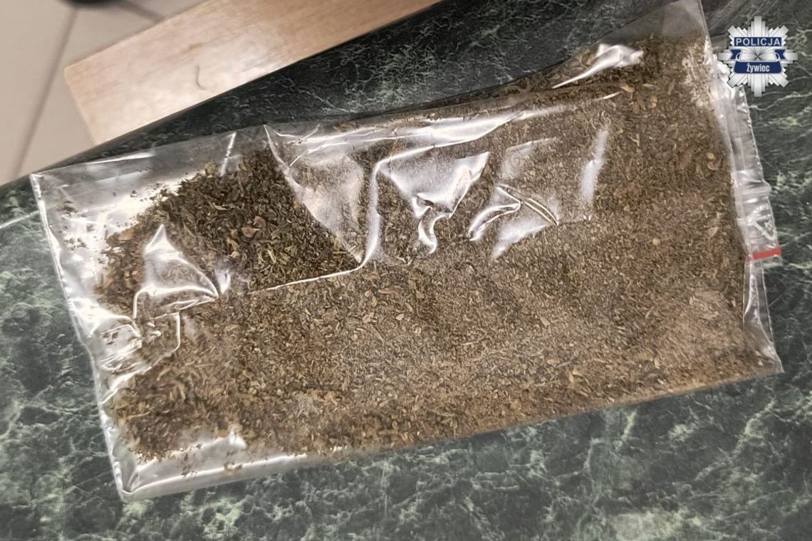 Miał iść do aresztu za długi, teraz odpowie za narkotyki. Pechowa wpadka 38-latka Miał iść do aresztu za długi, teraz odpowie za narkotyki. Pechowa wpadka 38-latka