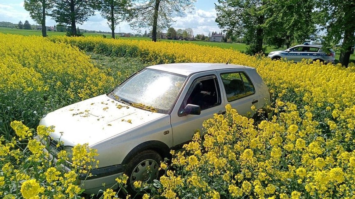 Miał naprawić sprzęt rolniczy, a ukradł auto. Znaleźli go pijanego na polu rzepaku