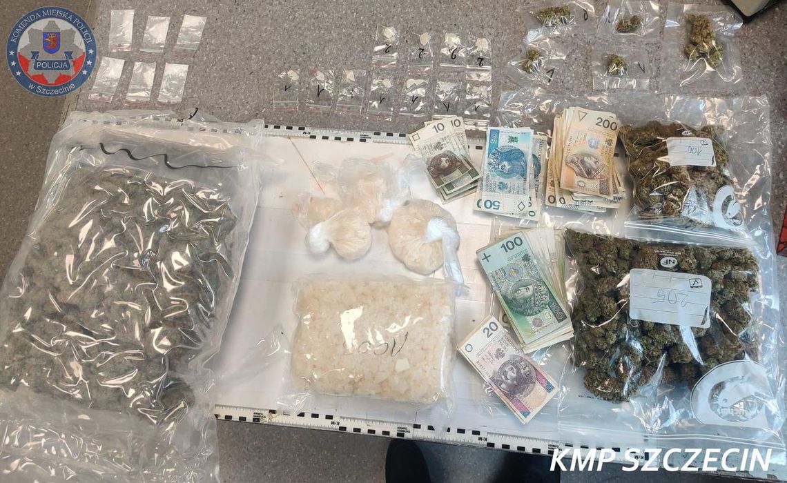 Miał ponad 6 kg narkotyków, w tym morfinę. Wpadł, bo spanikował na widok policjantów