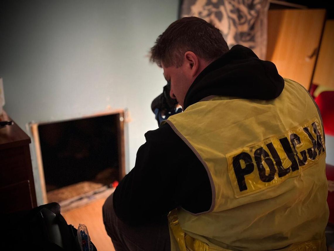 Miał sekretny pokój, do którego trzeba było się wczołgać. Ukrył w nim plantację marihuany. WIDEO