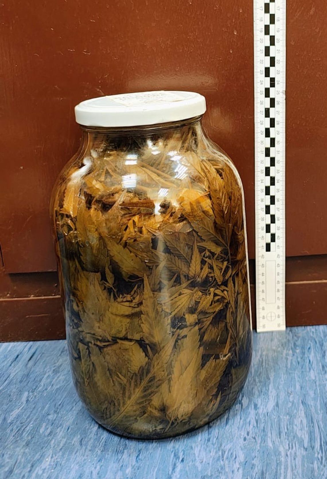 Miał w domu wielki słój z nalewką z marihuany. Policjanci znaleźli też susz Małopolska policja