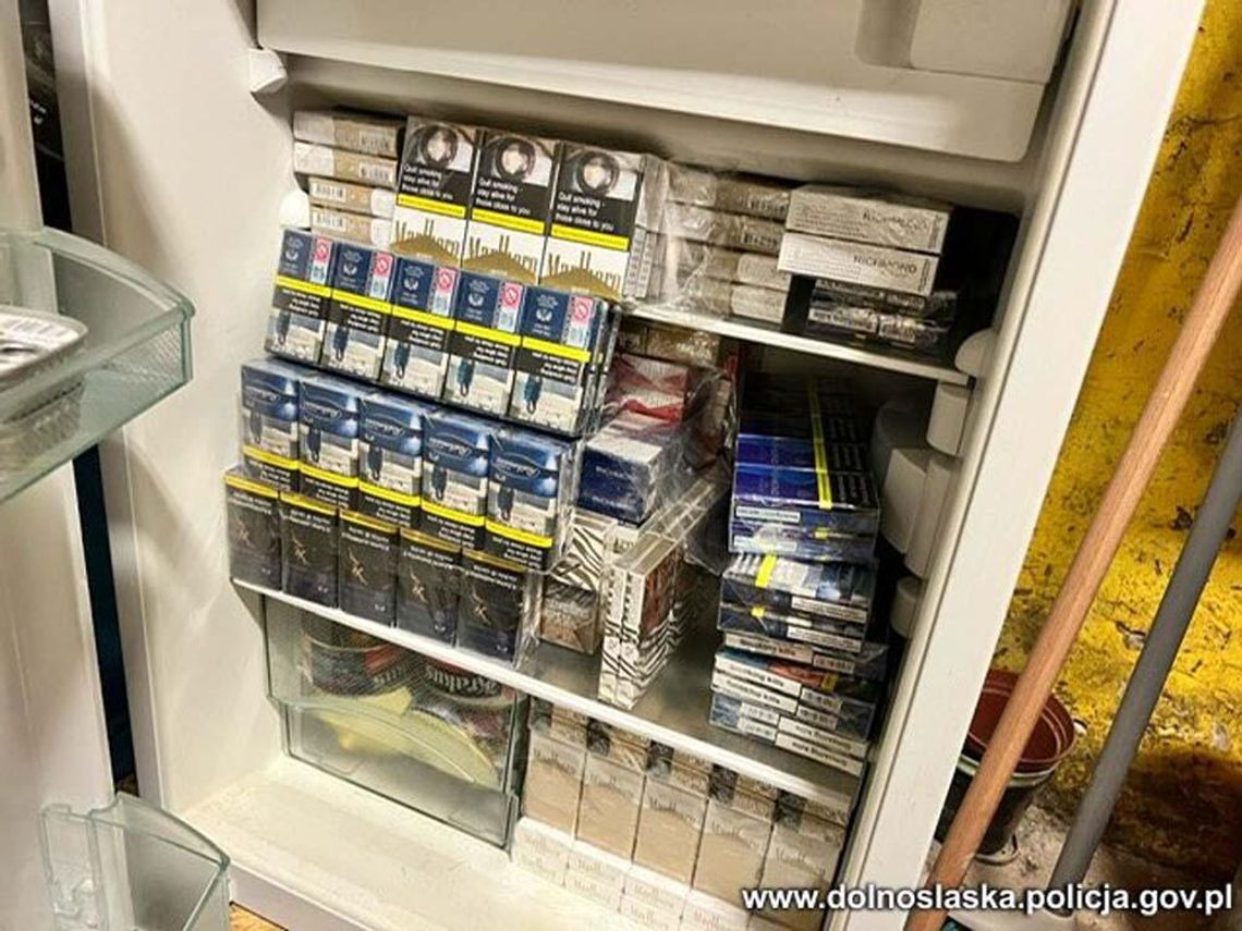 Miał w mieszkaniu lodówkę pełną fajek. Handlarz nielegalnym towarem odpowie za narażenie skarbu państwa