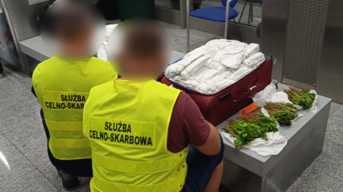 Młode Izraelki zatrzymane na lotnisku w Krakowie. Miały w bagażu sto kilogramów narkotyków