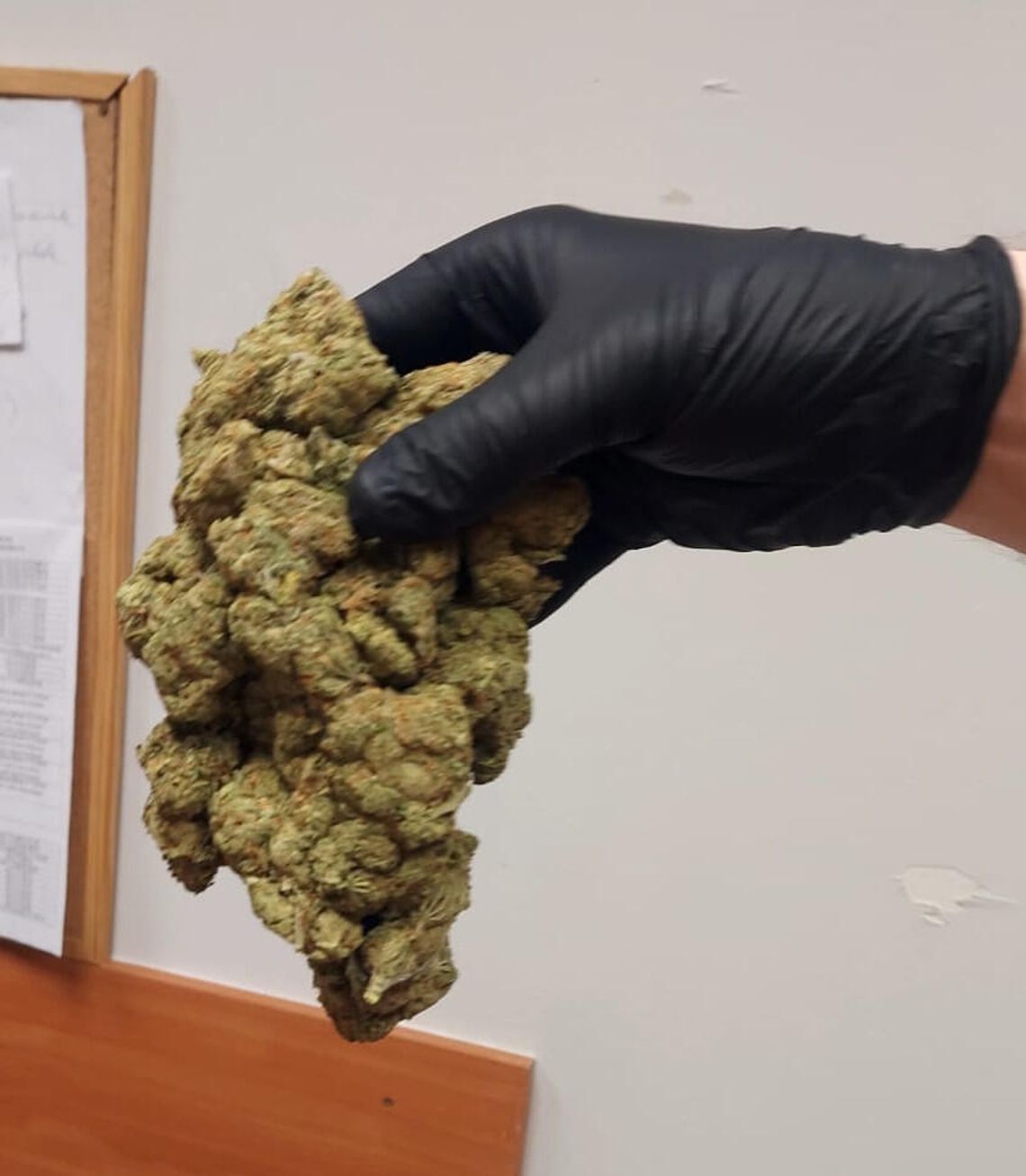 Młody diler nie miał pojęcia, że kryminalni czekają pod blokiem. Zwinęli go, gdy wsiadł do auta