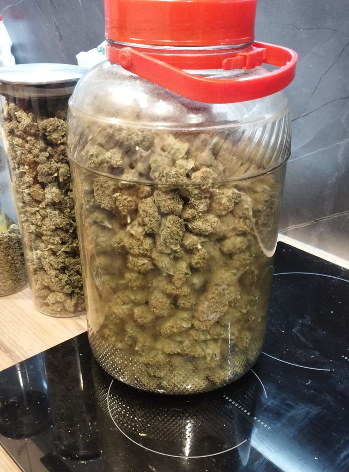 Młodzi współlokatorzy zatrzymani z blisko kilogramem marihuany. Grozi im do 10 lat więzienia