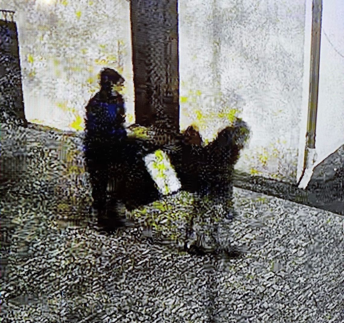 Młodzi złodzieje wynieśli z kościoła skarbonę z darami. Wpadli przez nagranie z monitoringu Młodzi złodzieje wynieśli z kościoła skarbonę z darami. Wpadli przez nagranie z monitoringu