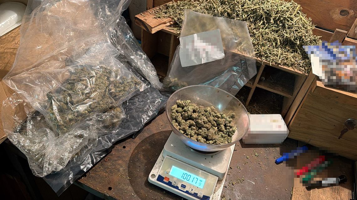 Mocny cios w podziemie narkotykowe. Policjanci przejęli blisko 100 kg towaru i zatrzymali dilerów Mocny cios w podziemie narkotykowe. Policjanci przejęli blisko 100 kg towaru i zatrzymali dilerów