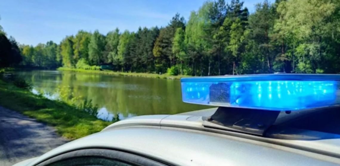 Mołdawianin może zostać wyrzucony z Polski. Dla zabawy chciał utopić gołębia i nagrać filmik