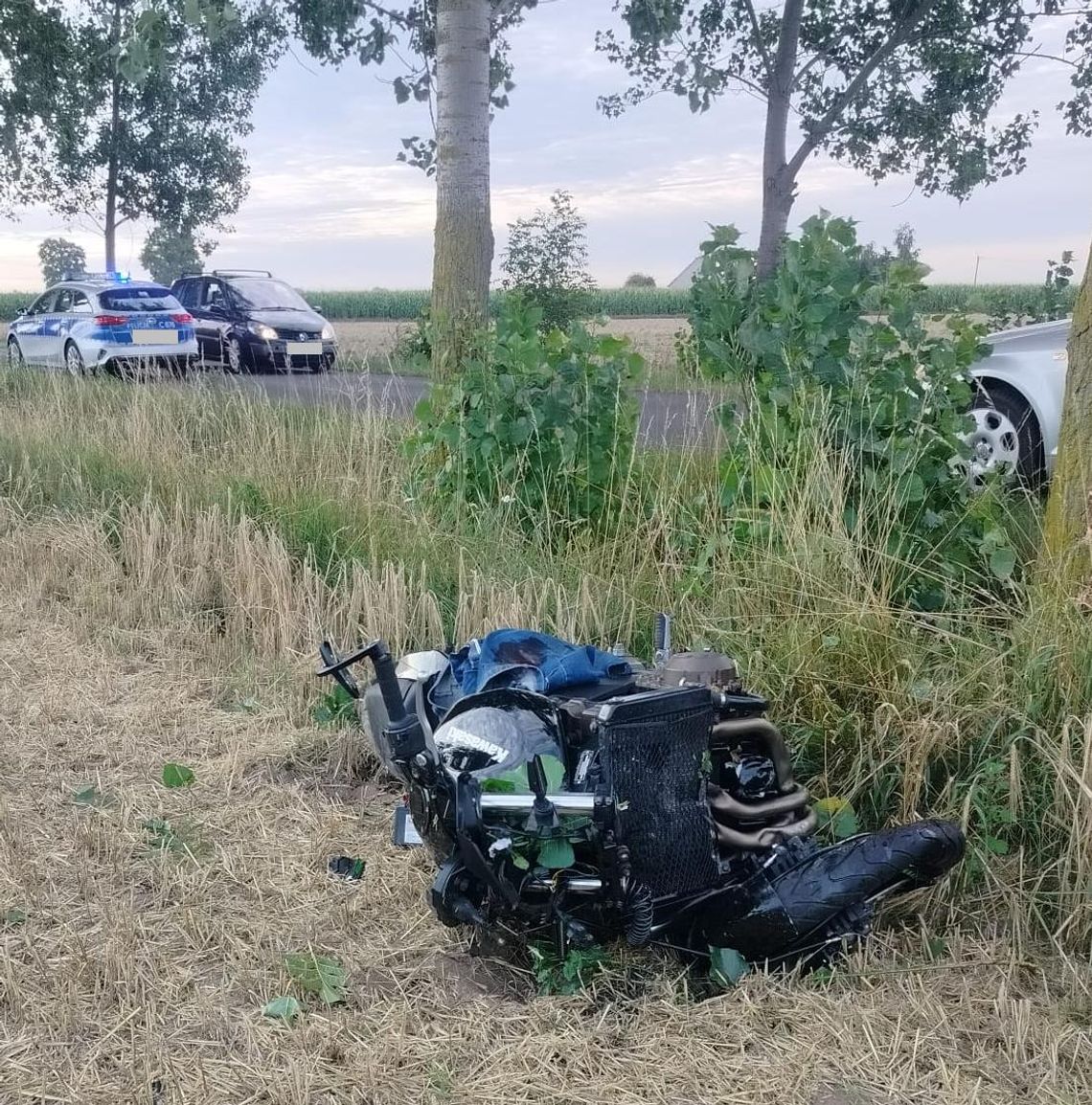 Motocyklista wjechał w drzewo próbując ominąć sarnę. Z ciężkimi obrażeniami trafił do szpitala