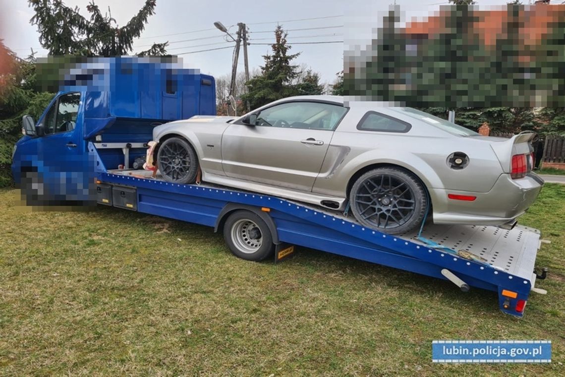 Mustang na lawecie stał w środku lasu. Oba pojazdy wcześniej zostały skradzione