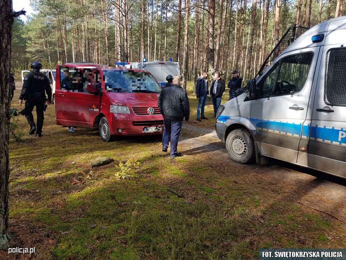 Na grzybobranie wzięli rękawice bokserskie i ochraniacze na zęby. WIDEO