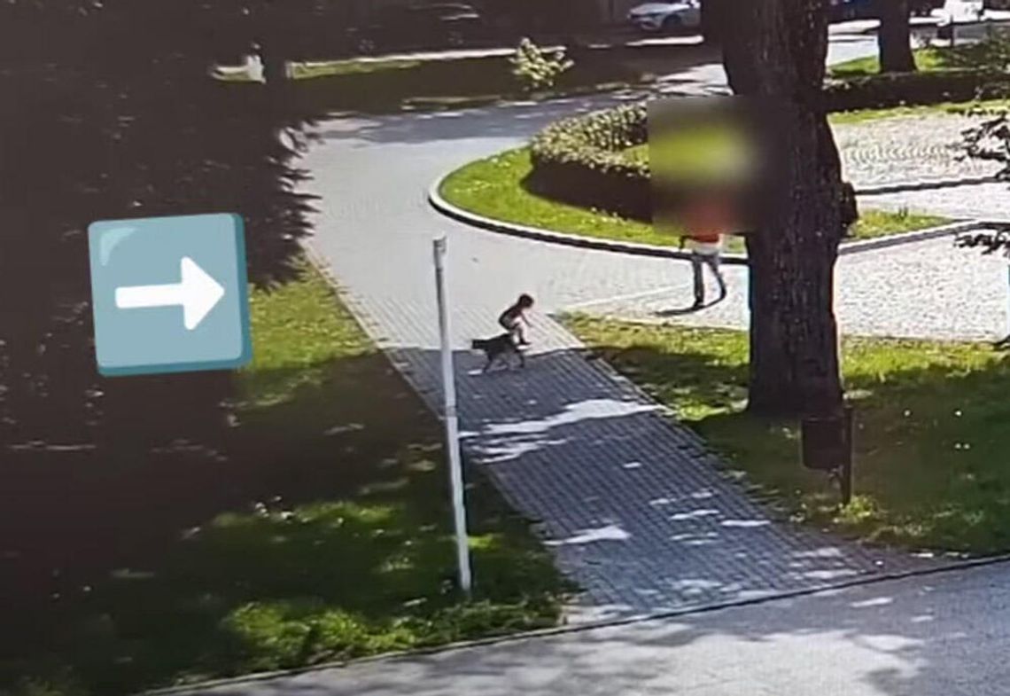 Naćpana matka "opiekowała się" dzieckiem w parku. Nawet nie zauważyła, gdy pobiegło w stronę ulicy. "Wciągnęłam kreskę"