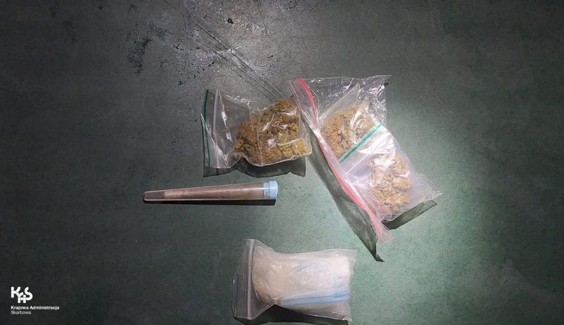 Narkotyki ukryte w torbie z brudnymi gaciami. Wywąchał je pies celników