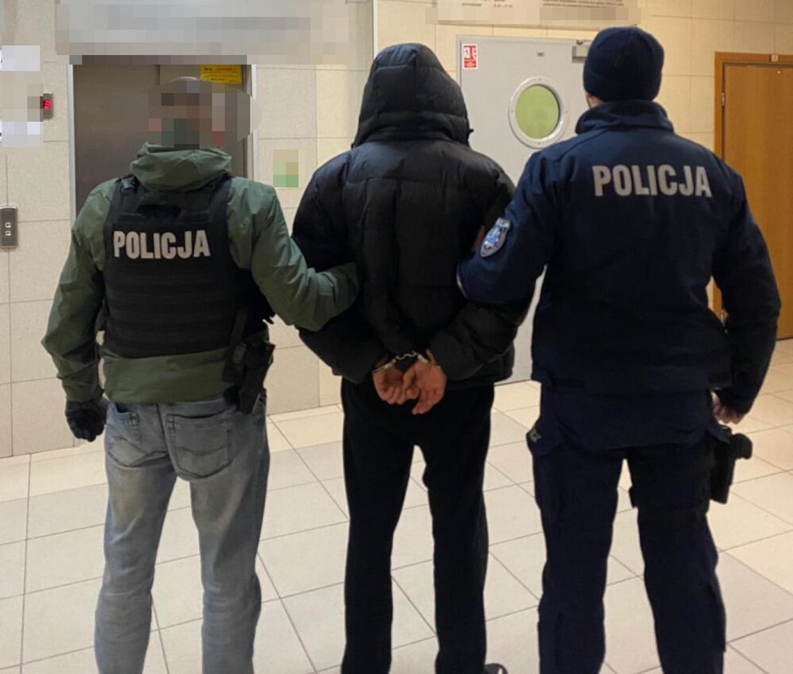 Narkotyki w mieszkaniu młodej pary. Po zatrzymaniu 24-latki jej partner wziął winę na siebie