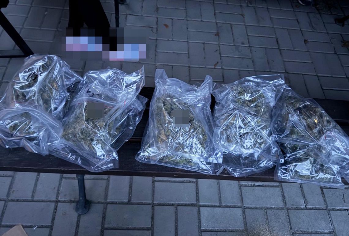 Narkotyki w paczce kurierskiej. 35-latek odpowie za posiadanie znacznych ilości marihuany i haszyszu