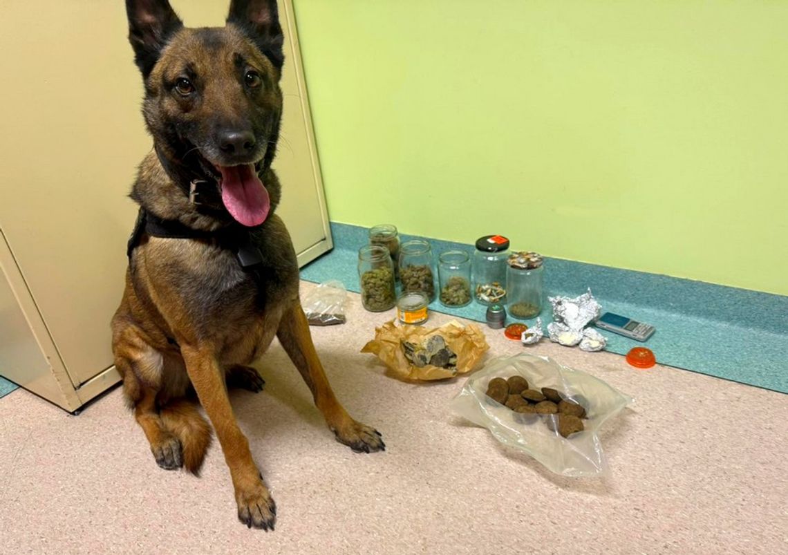 Narkotyki w słoikach i „zakazane” ciasteczka. 26-latek zatrzymany po nalocie policji