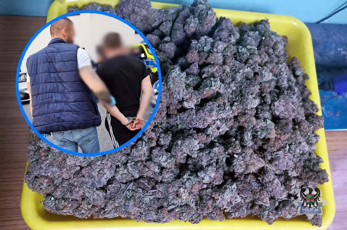 Kilogram marihuany, amfetamina i skradziona tablica. Zatrzymania po akcji kryminalnych Kilogram marihuany, amfetamina i skradziona tablica. Zatrzymania po akcji kryminalnych
