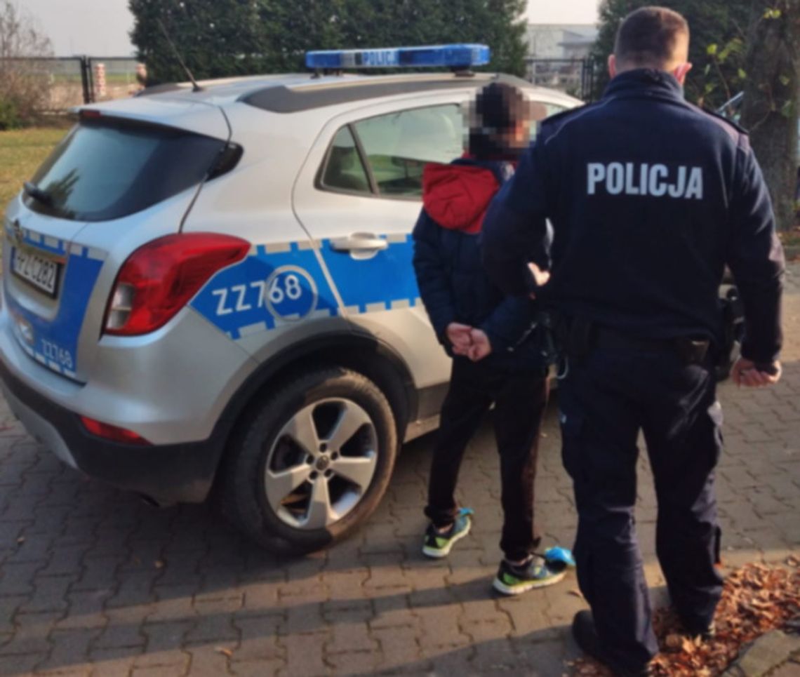 Nastolatek podszywał się pod policjanta, przechytrzyła go 90-letnia kobieta