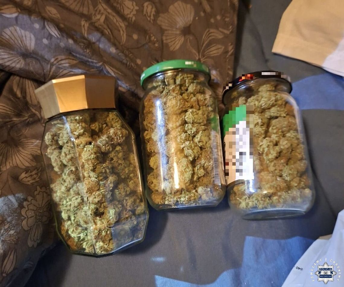 Nie minął miesiąc, a znów wpadł. 35-latek miał w mieszkaniu trzy słoiki z marihuaną Nie minął miesiąc, a znów wpadł. 35-latek miał w mieszkaniu trzy słoiki z marihuaną