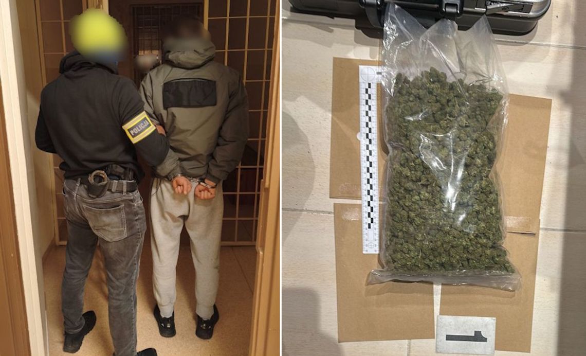 „Nie wiem, skąd to się tu wzięło”. Miał w plecaku prawie kilogram marihuany, trafił za kraty