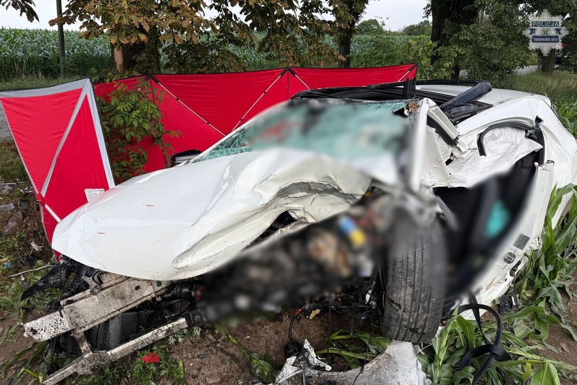 Nie żyje 22-latek i jego pasażer. Rozpędzony mercedes roztrzaskał się na przydrożnym drzewie Nie żyje 22-latek i jego pasażer. Rozpędzony mercedes roztrzaskał się na przydrożnym drzewie
