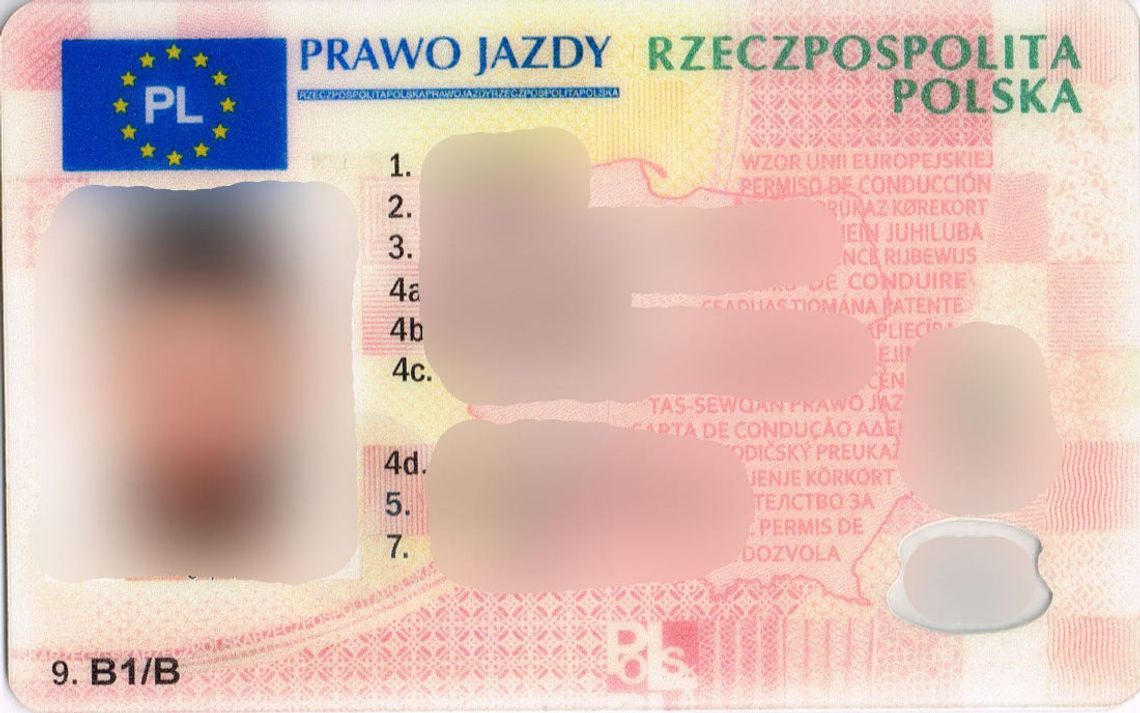 Niemiec z podrobionym polskim prawem jazdy zatrzymany na polsko-rosyjskiej granicy