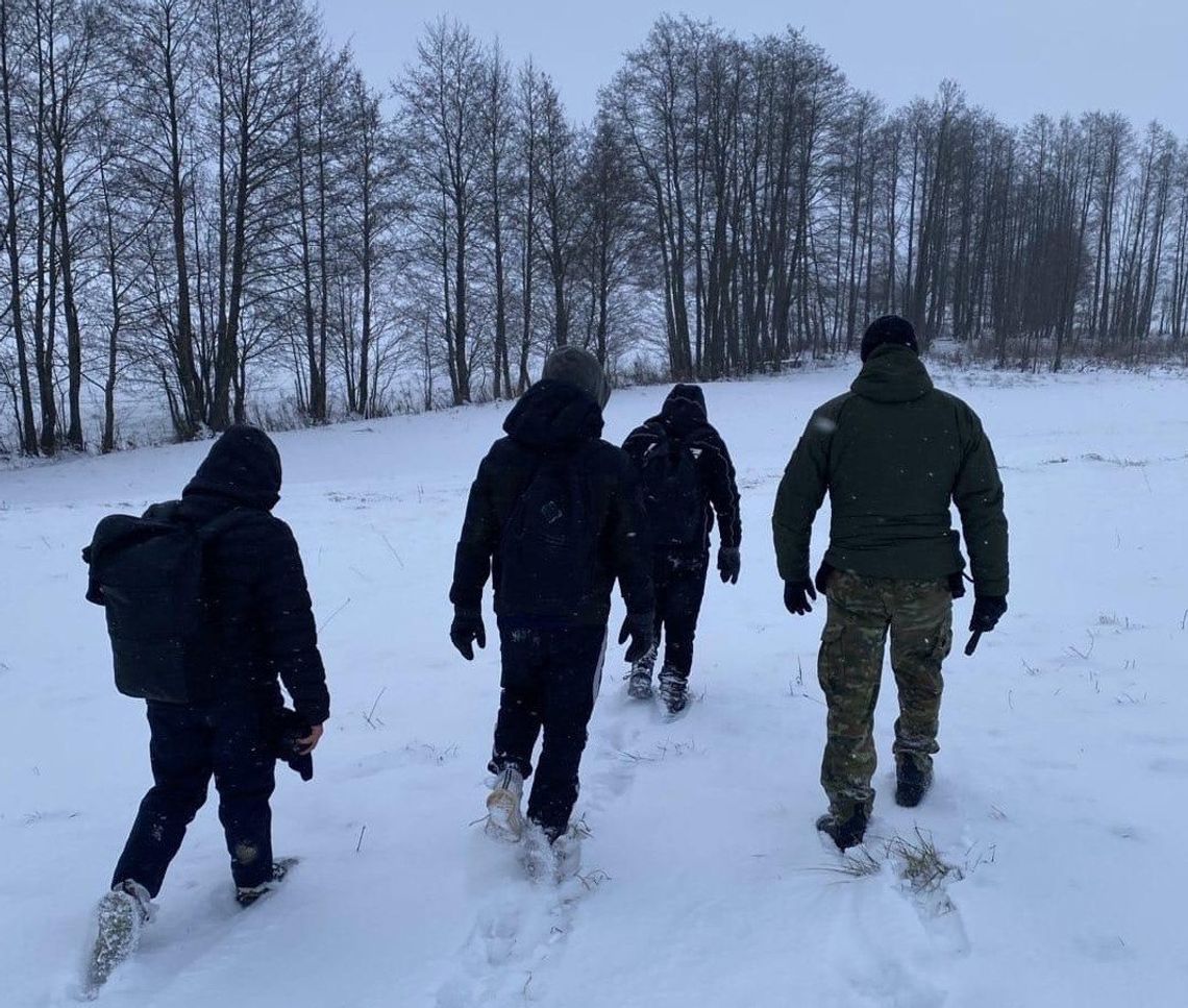 Niemiec zatrzymany za szmuglowanie Afgańczyków do Polski. Czekał na nich tuż pod granicą