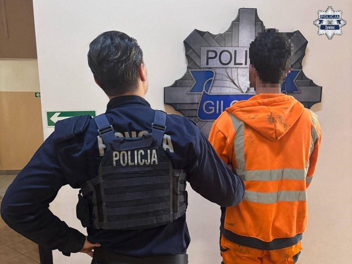 Nocna demolka w parku i amfiteatrze. 21-letnim sprawcom grozi nawet pięć lat więzienia