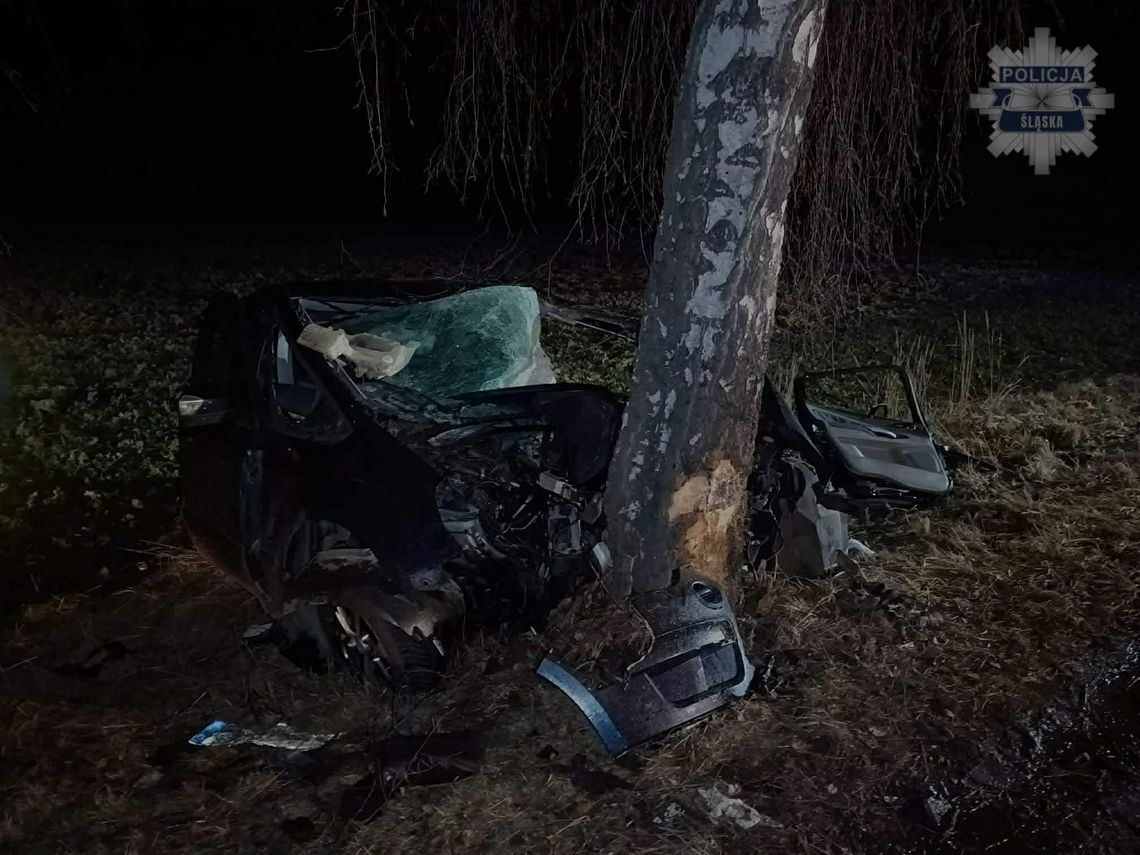 Nocny wypadek ze skutkiem śmiertelnym. 21-letni kierowca zginął po uderzeniu w drzewo