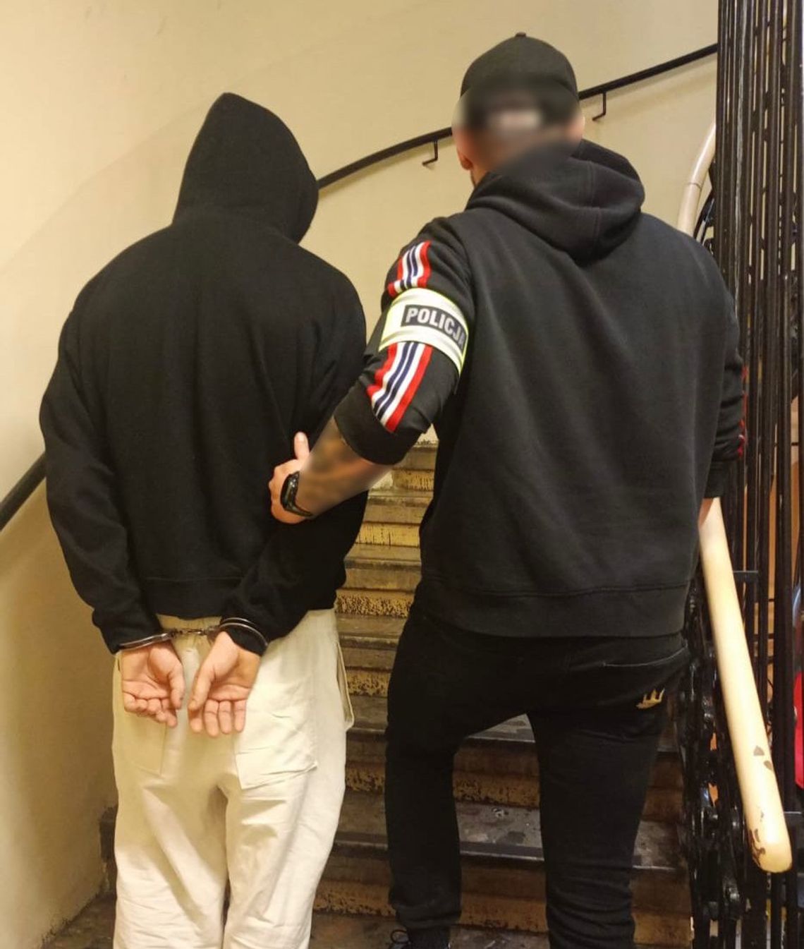 Obciął królikowi uszy, pokiereszował go nożem i wyrzucił w krzaki. 21-latek odpowie przed sądem Obciął królikowi uszy, pokiereszował go nożem i wyrzucił w krzaki. 21-latek odpowie przed sądem