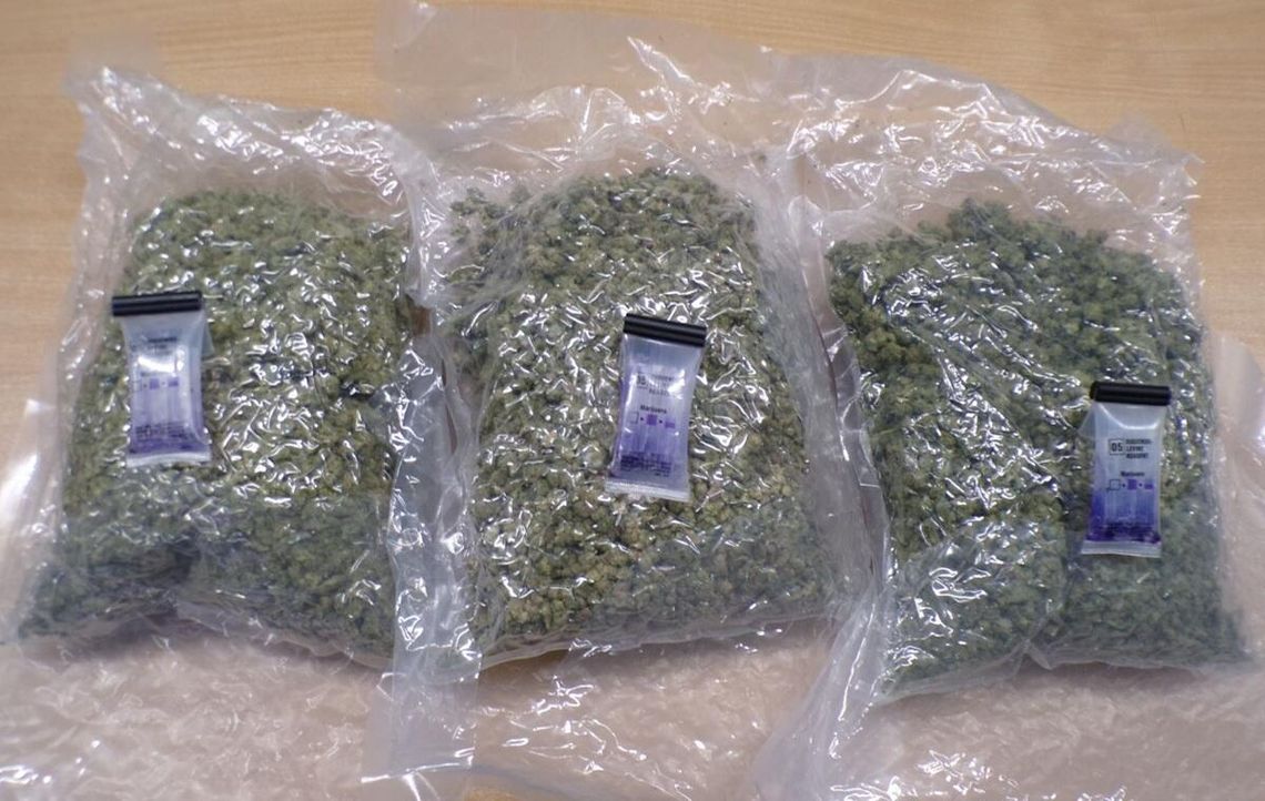 Oryginalna próba przemytu narkotyków z USA. W paczce zamiast dżinsów było 1,5 kg marihuany