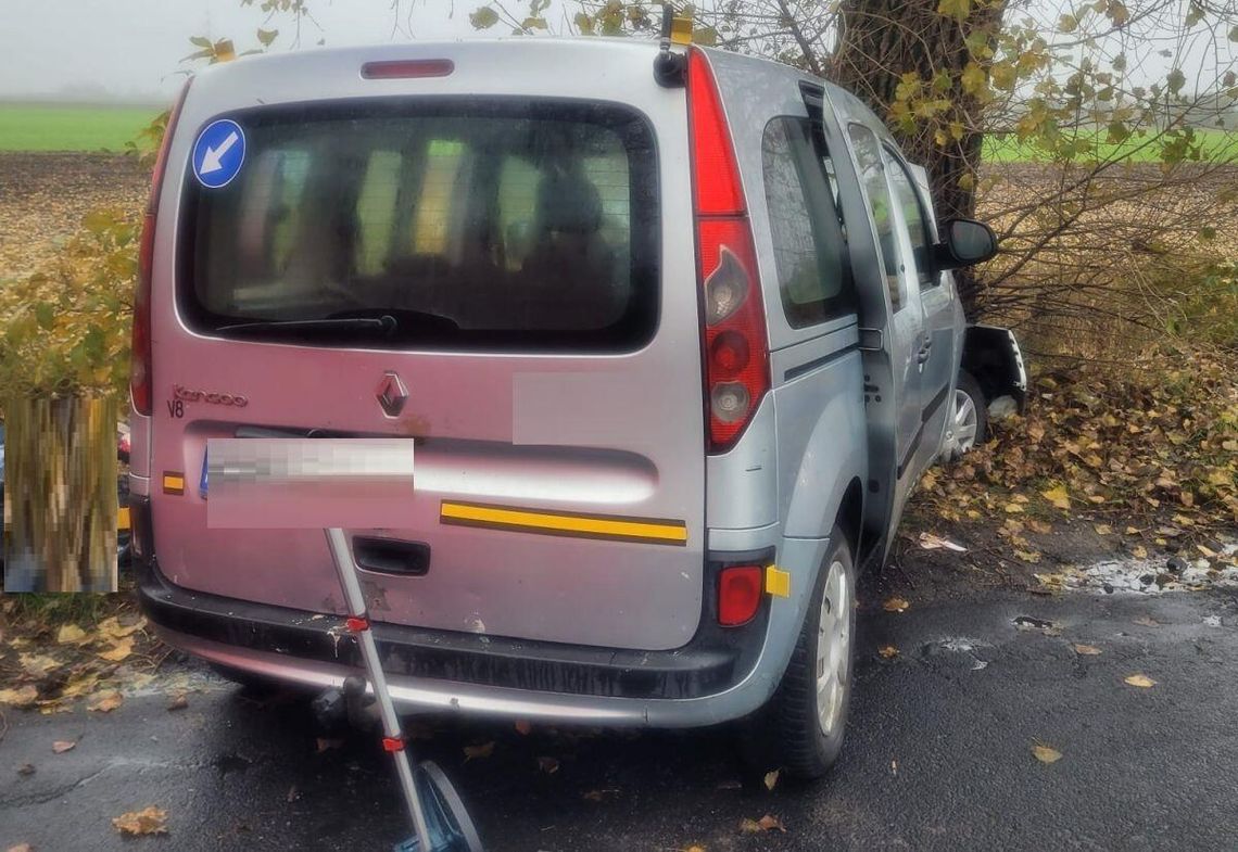 Osobówka wjechała w drzewo, kierowca i pasażer zginęli na miejscu