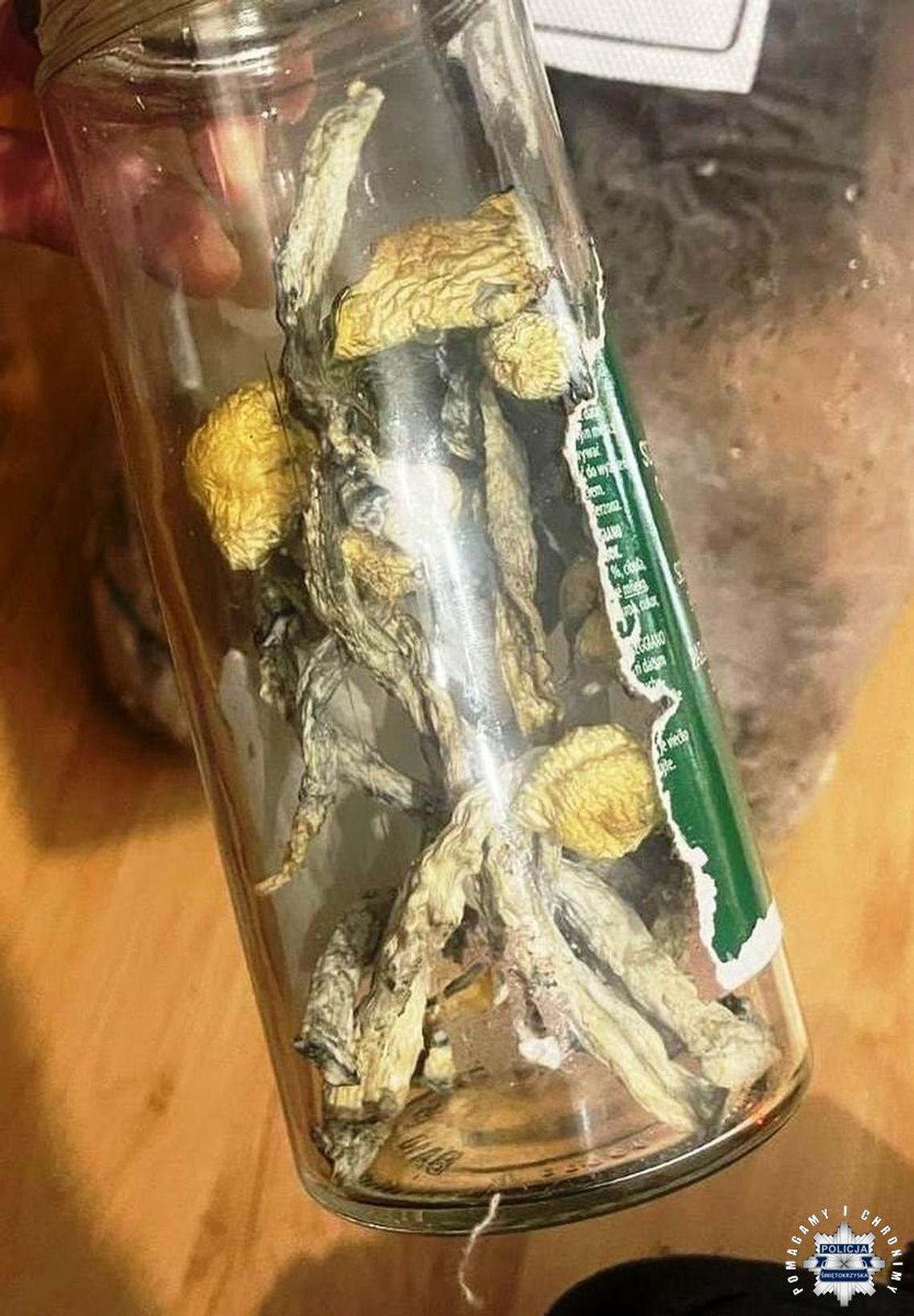 Para 18-latków miała narkotykowe hobby. Uprawiali konopie, mieli susz i grzyby Para 18-latków miała narkotykowe hobby. Uprawiali konopie, mieli susz i grzyby