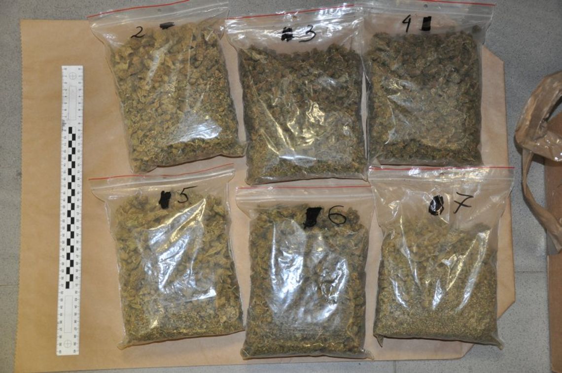 Perfidnie go załatwili: zgłosili, że chce się zabić, policjanci znaleźli w domu zioło. ZDJĘCIA