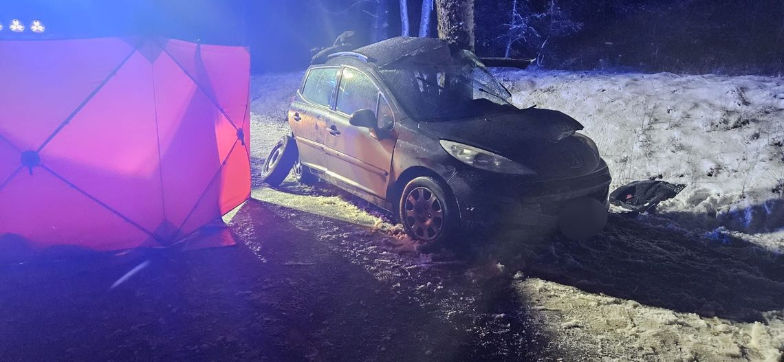 Peugeot wypadł z drogi i uderzył bokiem w drzewo. Zginęła 19-latka i 34-letni mężczyzna Peugeot wypadł z drogi i uderzył bokiem w drzewo. Zginęła 19-latka i 34-letni mężczyzna