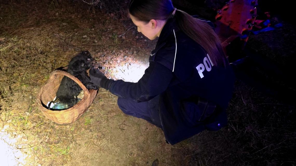 Pies uratował mu życie. Ratownicy usłyszeli szczekanie, które doprowadziło ich do wychłodzonego mężczyzny