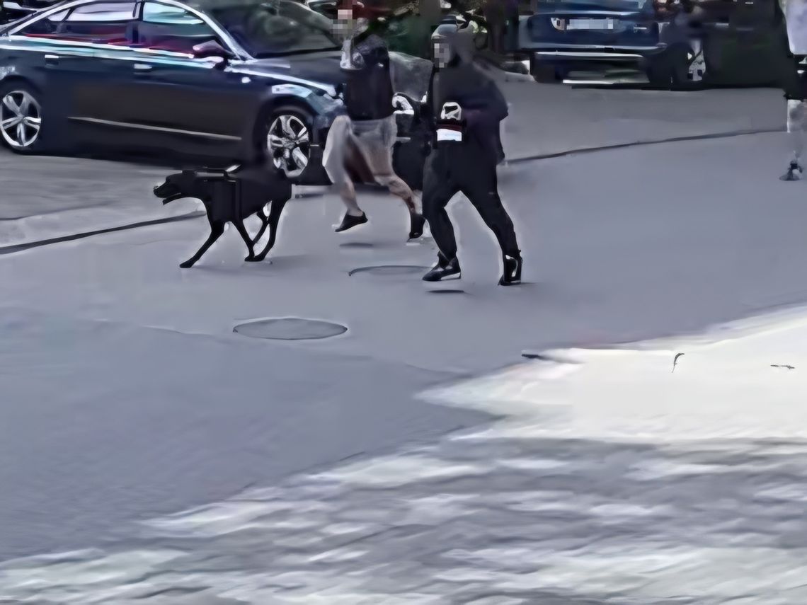 Pies zaatakował rowerzystkę. Właściciel uciekł, bo był poszukiwany listem gończym