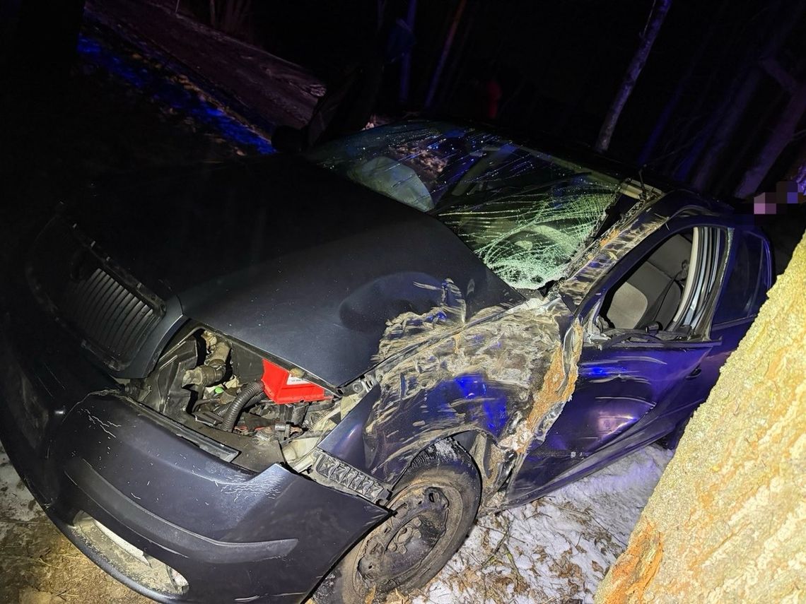 Pijana 18-latka wjechała autem w drzewo. Straciła prawko, a do tego znaleźli przy niej narkotyki