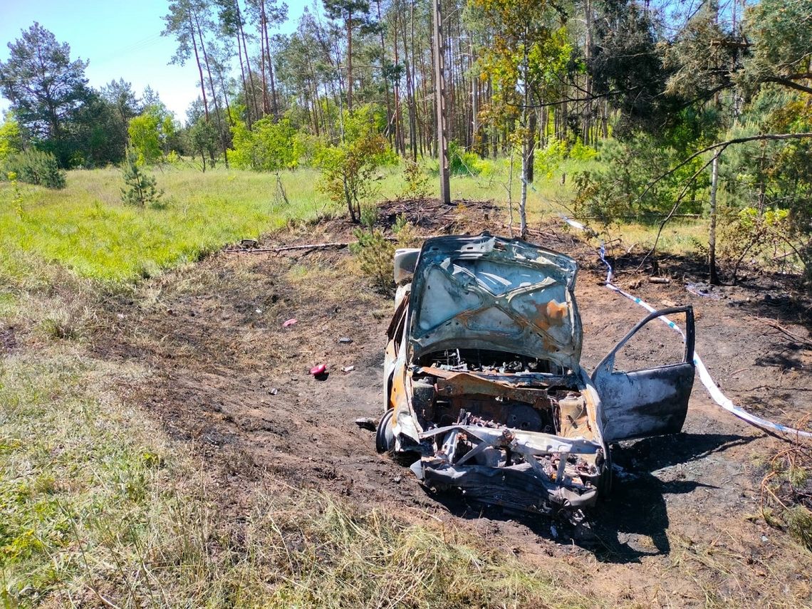 Pijana 20-latka potrąciła sarnę, a następnie wjechała w drzewo. Jej auto doszczętnie spłonęło [FOTO]