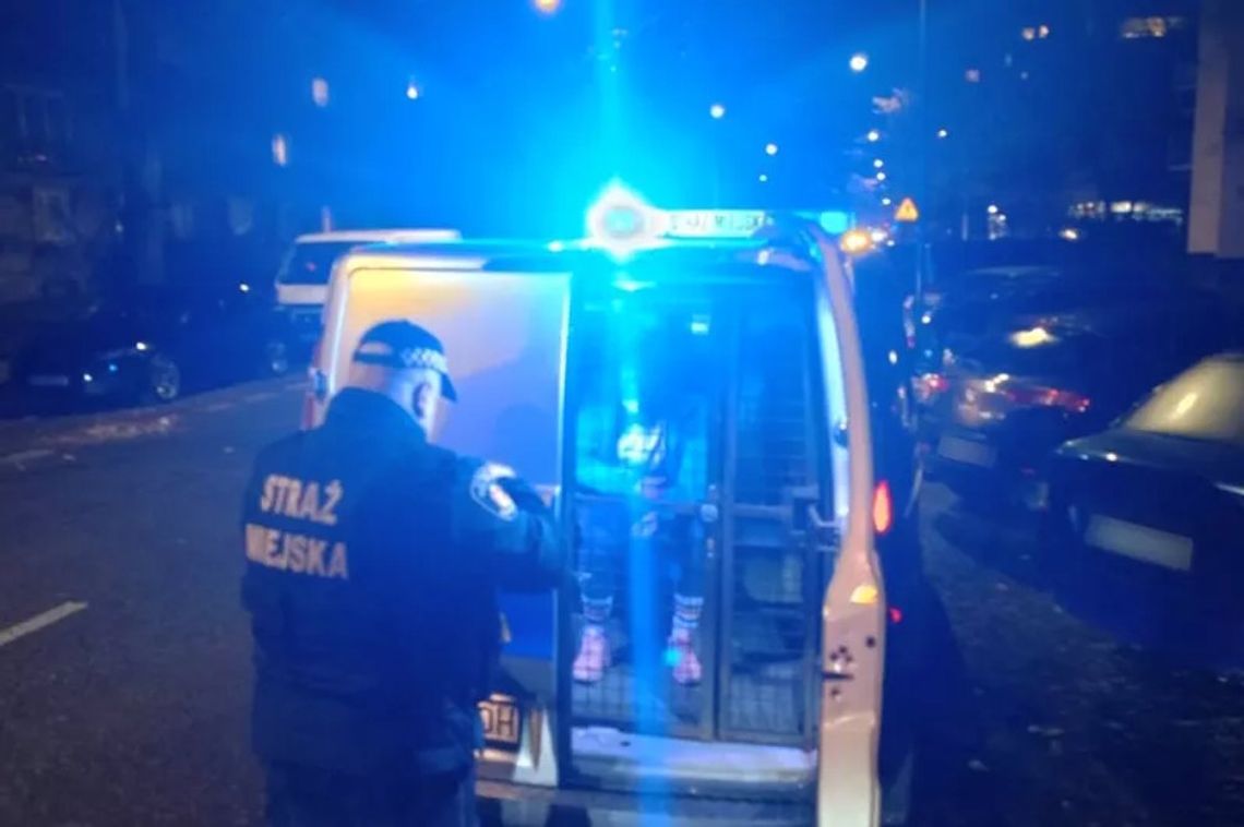 Pijana kobieta dobijała się do obcych ludzi. Wyznała wprost, że "szukała narkotyków" Pijana kobieta dobijała się do obcych ludzi. Wyznała wprost, że "szukała narkotyków"