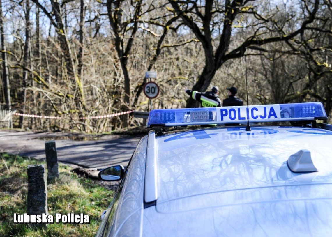 Pijana kobieta w seicento próbowała rozjechać policjanta. Musieli rozwalić szybę, żeby ją powstrzymać