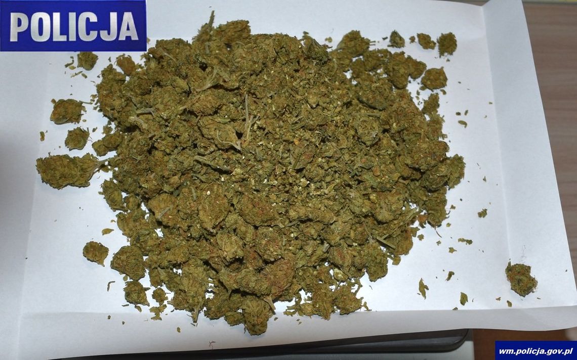 Pijani 16-latkowie spacerowali po torach. Po zatrzymaniu byli agresywni, jeden z nich miał narkotyki