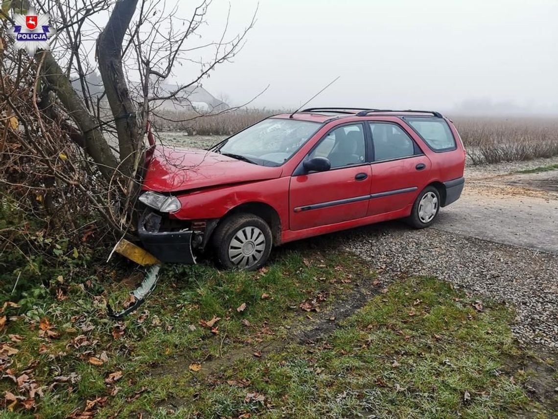 Pijany 15-latek zabrał auto ojca i wziął kumpli na przejażdżkę. Jazdę skończyli na przydrożnym drzewie