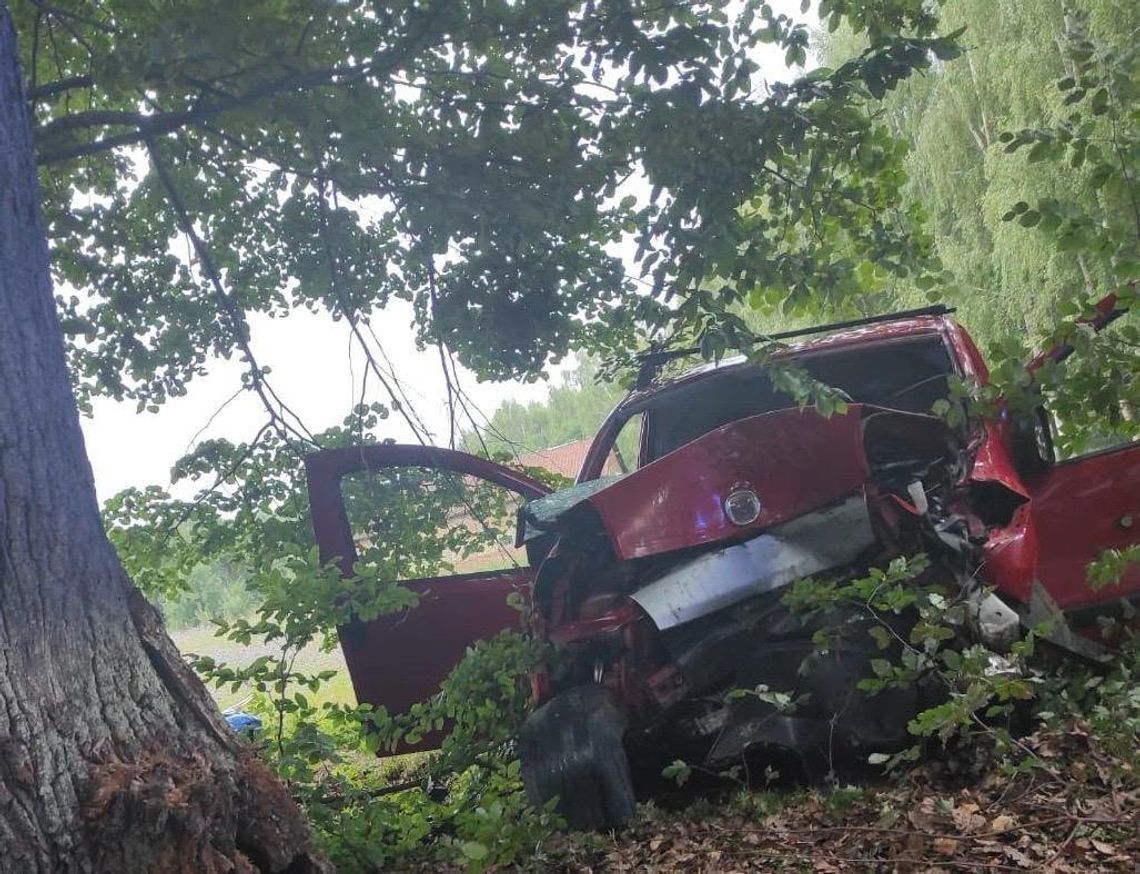 Pijany 20-latek rozbił busa na drzewie. Cztery osoby w szpitalu Pijany 20-latek rozbił busa na drzewie. Cztery osoby w szpitalu